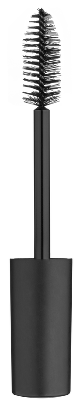 Alix Avien Black & Perfect Mascara