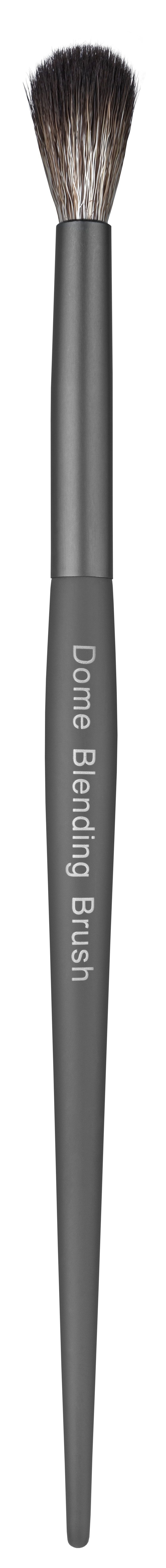 Alix Avien Dome Blending Brush