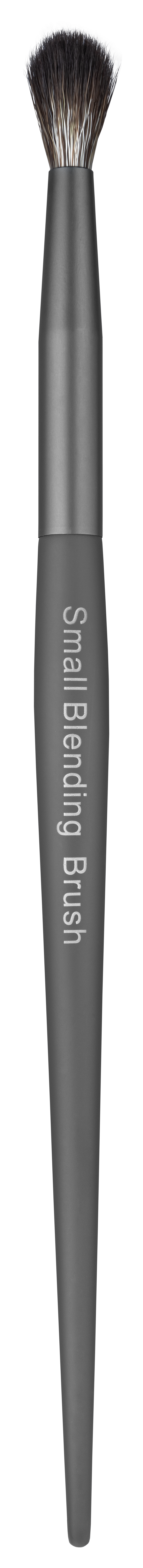 فرشاة المزج الصغيرة من أليكس أفين – Aa204