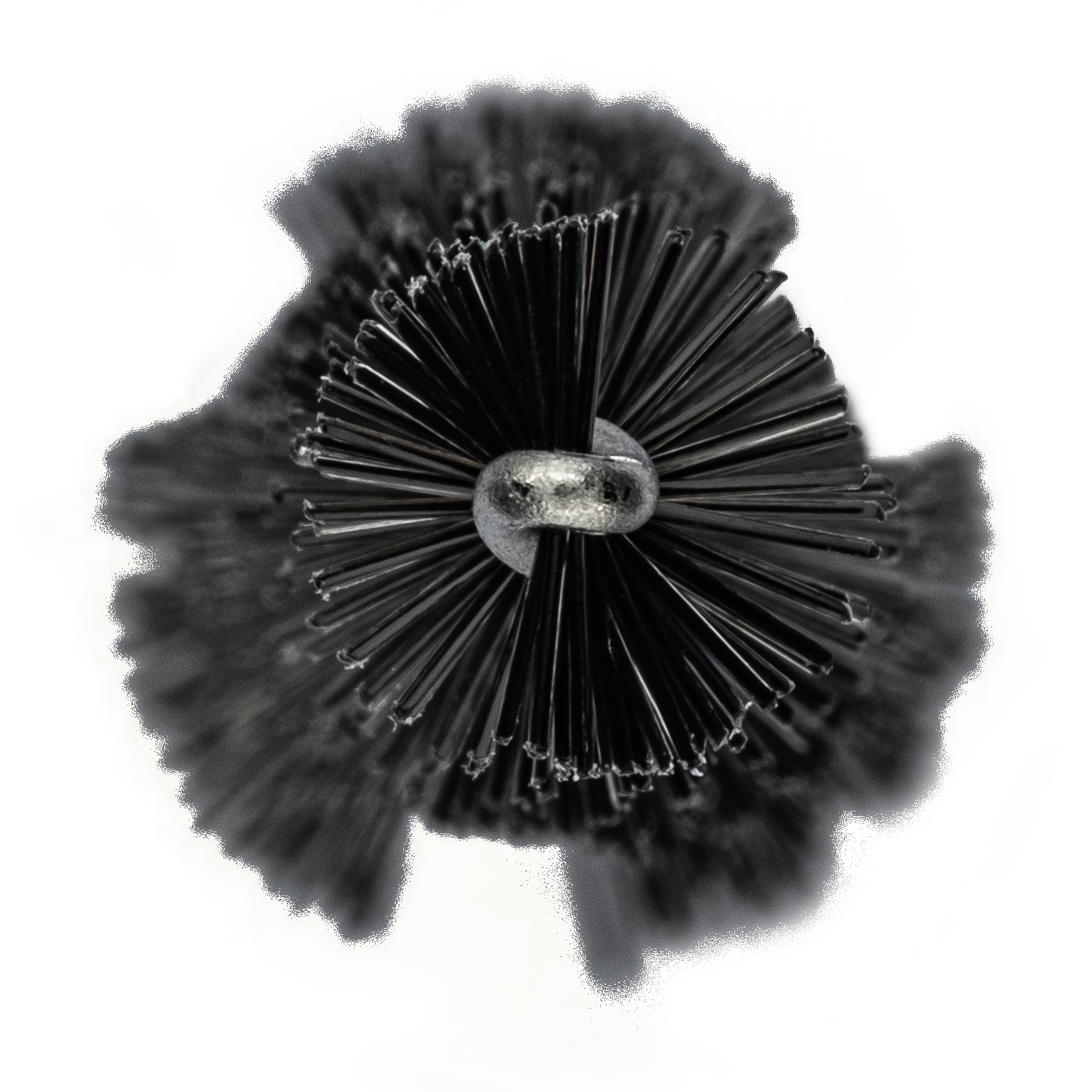 ماسكارا أليكس أفين لاش بيرفورمر